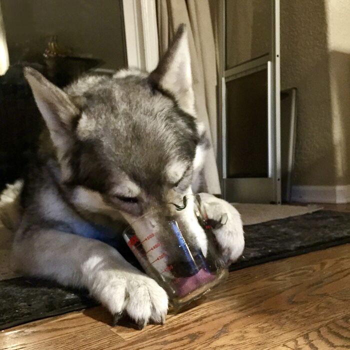 Keeyush Helping With The Dishes