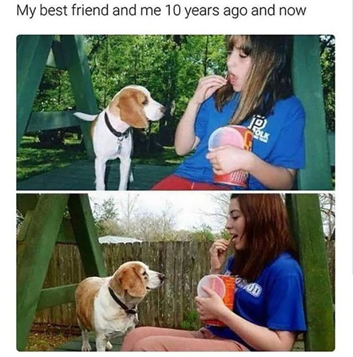 Funny-Animal-Memes-Awkwardanimals