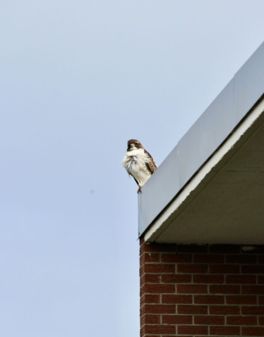 Pictures Are Taken From My Balcony