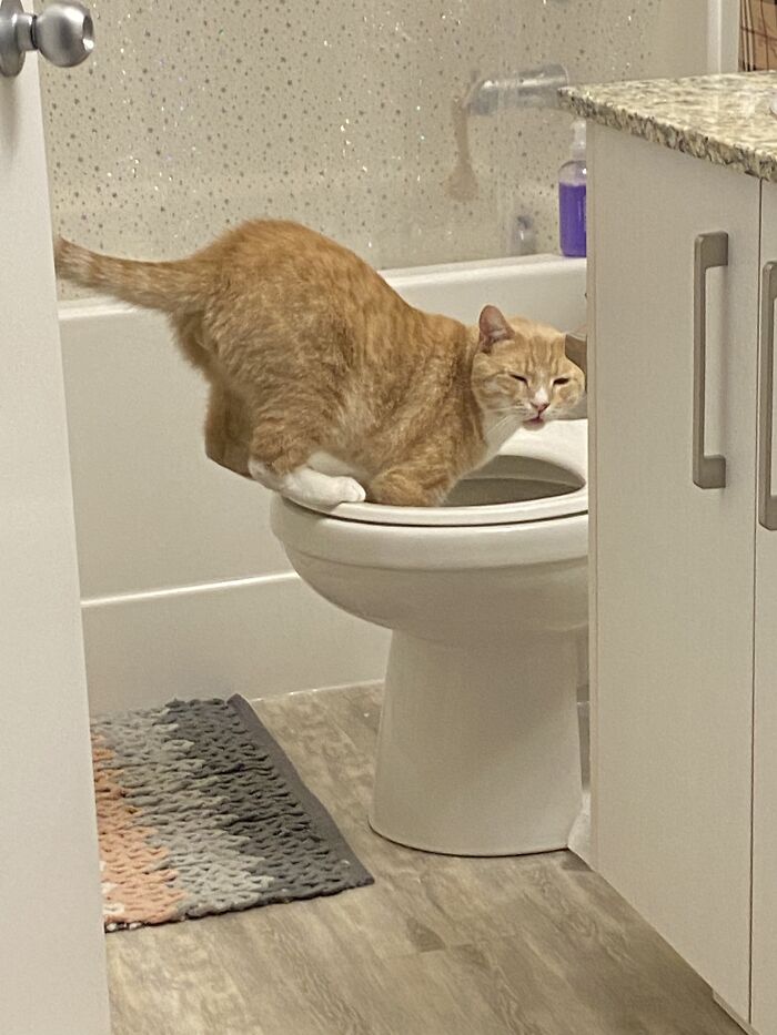 “It Was In That Moment, He Knew…”