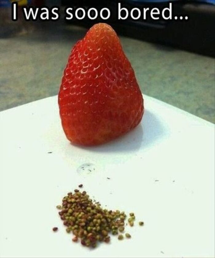 All-You-Can-Eat-Funny-Memes