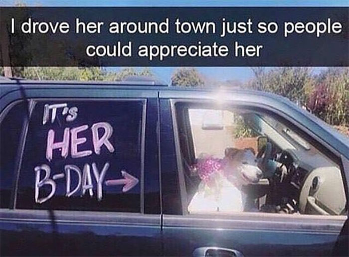 Funny-Animal-Memes-Awkwardanimals