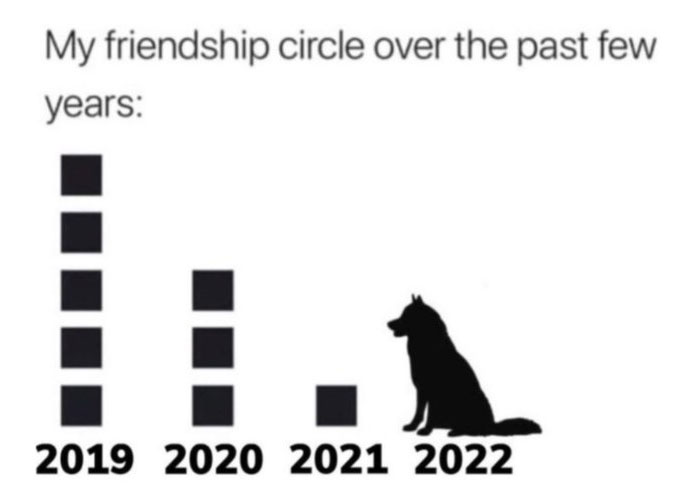 Chart humorously depicting introverts' shrinking friend circle ending with a dog in 2022.