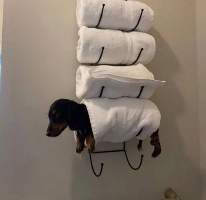 Random-Weird-Pictures-By-Things-In-Places