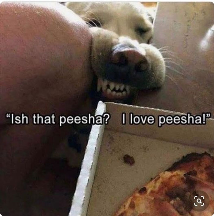 Funny-Animal-Memes-Awkwardanimals