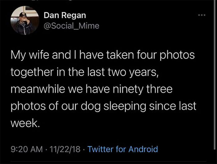 Funny-Animal-Memes-Awkwardanimals