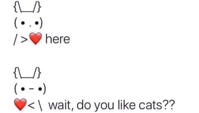 Funny-Animal-Memes-Awkwardanimals