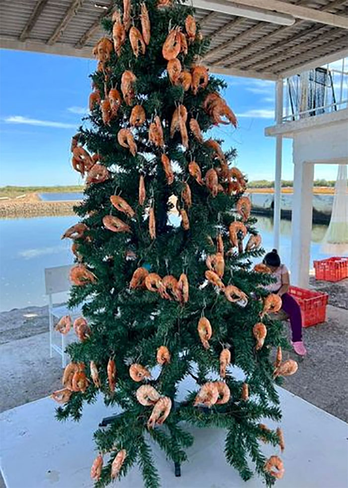 Random-Weird-Pictures-By-Things-In-Places