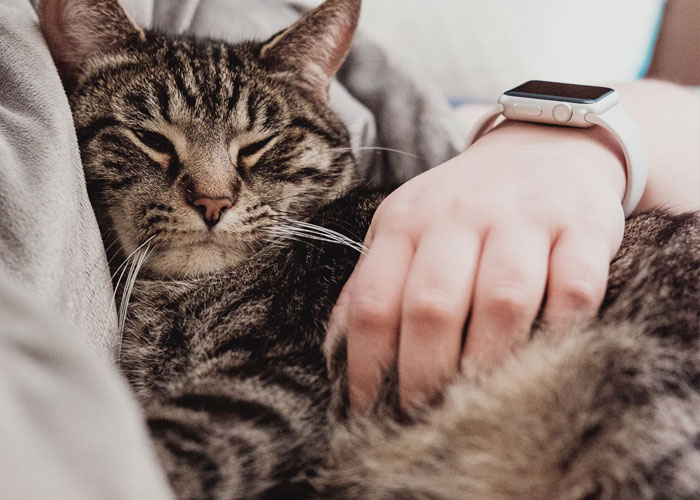 "I Raised An Idiot": 30 Parents Share Their Kids' Dumbest Moments