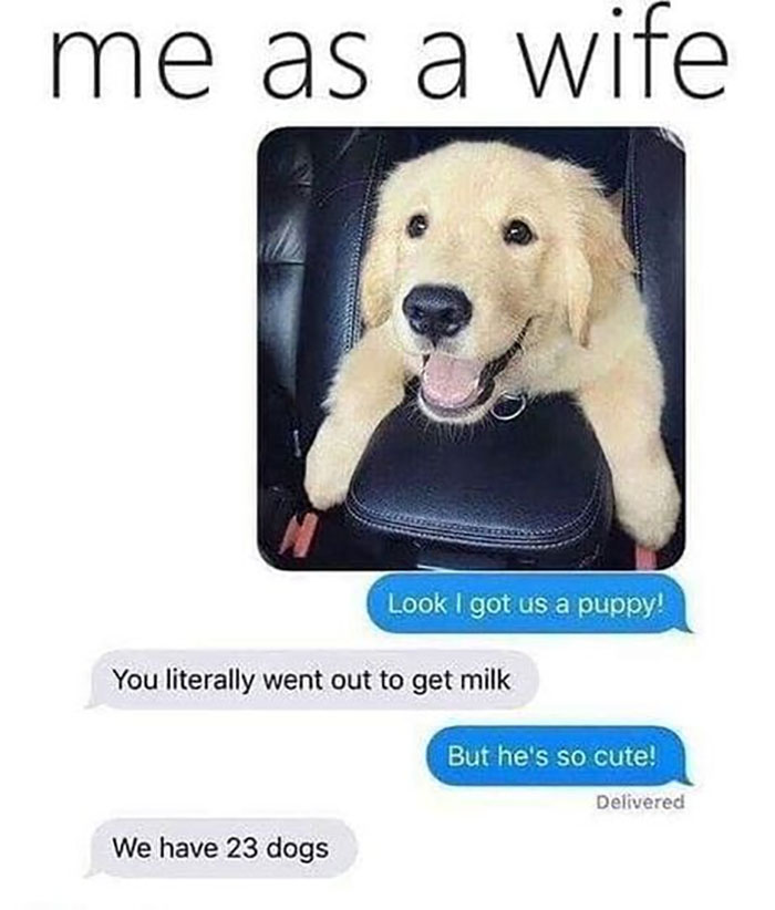 Funny-Animal-Memes-Awkwardanimals