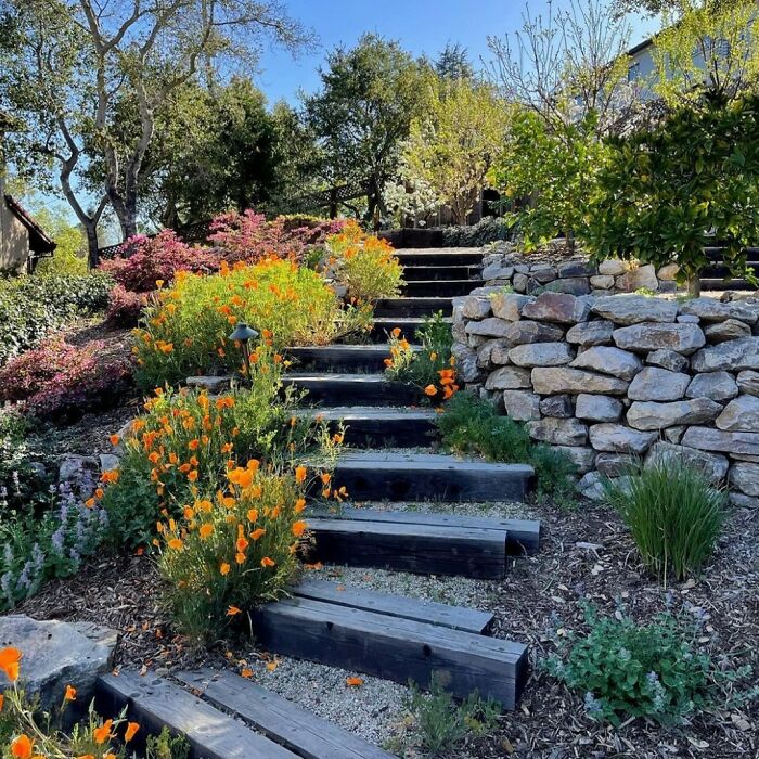 Beautiful-Landscape-Design-Pics