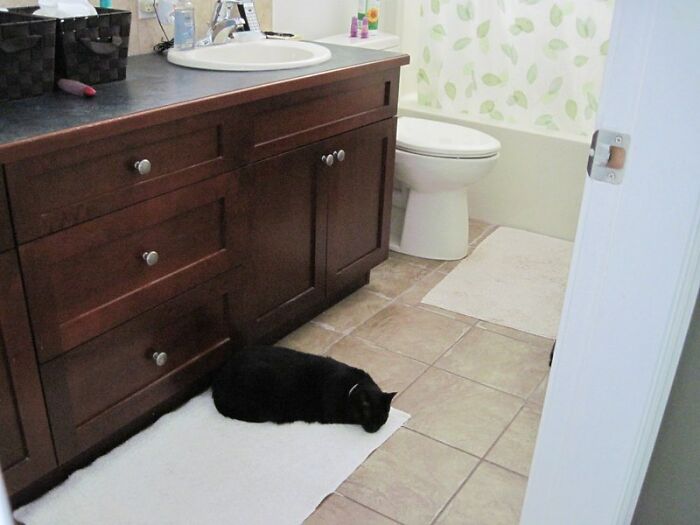 30 People Online Point Out Aspects Of Personal Hygiene That Some Are Completely Oblivious To