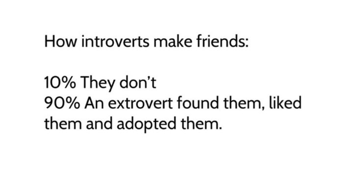Introvert meme about making friends: 10% don't, 90% adopted by extroverts.