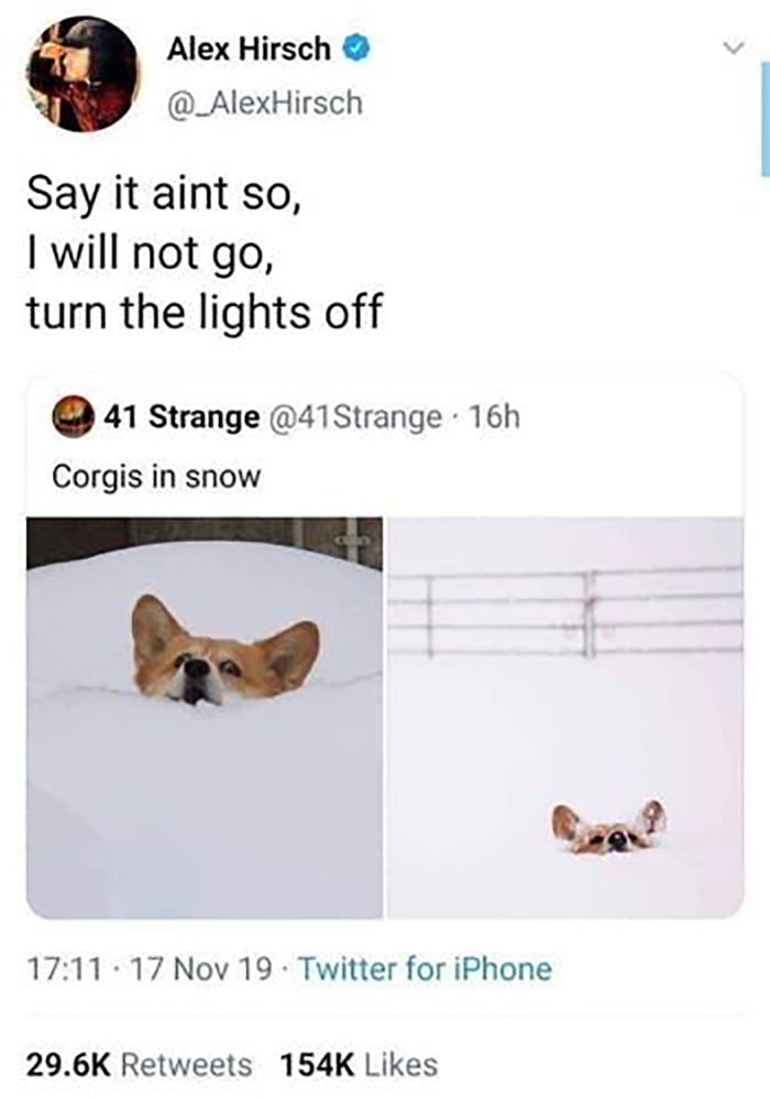 Funny-Animal-Memes-Awkwardanimals