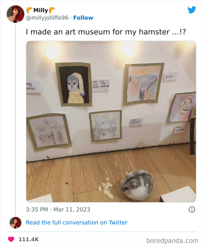 Bbc-Pandemic-Mental-Health-Crisis-Tweet-Funny-Responses