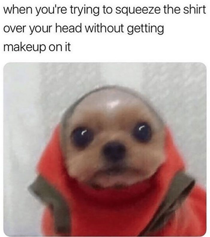 Funny-Animal-Memes-Awkwardanimals