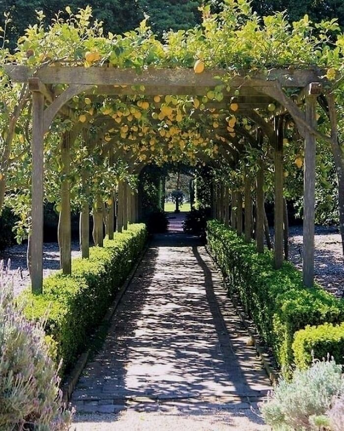 Beautiful-Landscape-Design-Pics