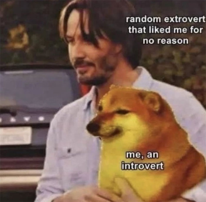 Introvert-Memes-By-Allabintroverts