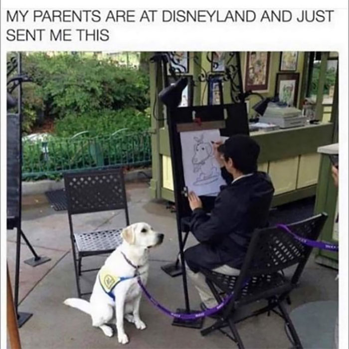 Funny-Animal-Memes-Awkwardanimals