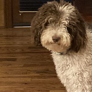 jessicaknight_2 avatar