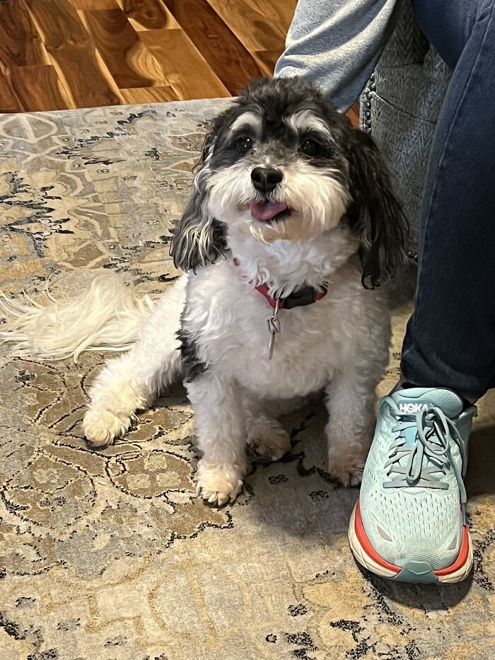 Loves His New Haircut!