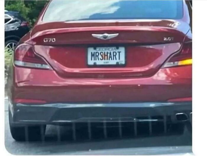 Americas-Cultural-Decline-Into-Idiocy-Posts-About-USA