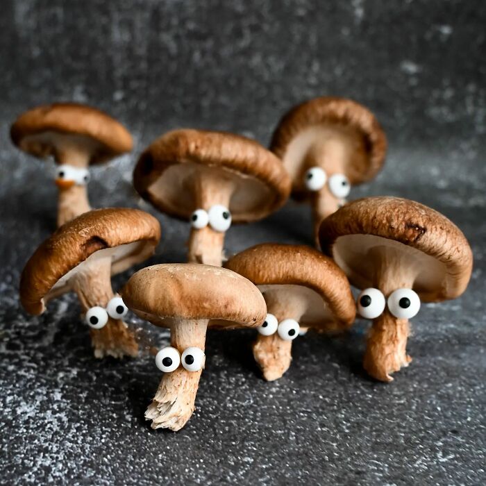 Artist Uses Food To Make Art And The Result Will Make You Laugh Out Loud