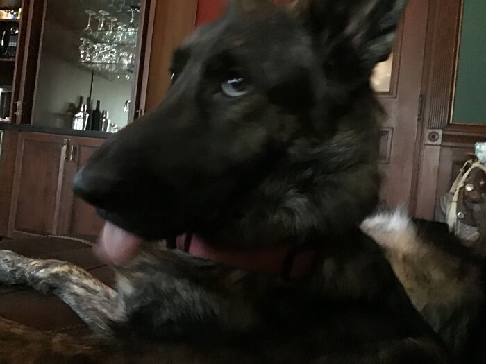 This Photo Of Mine Gets Used A Lot