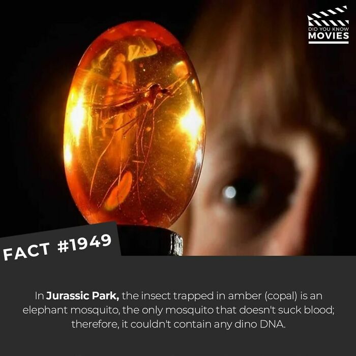 Did-You-Know-Movies-Facts