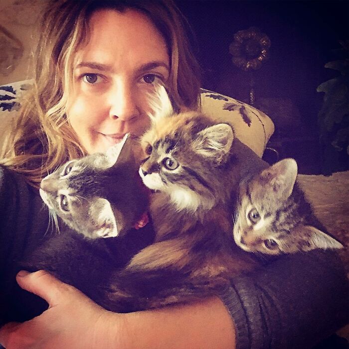 Drew Barrymore With Lucky, Peach, And Fern
