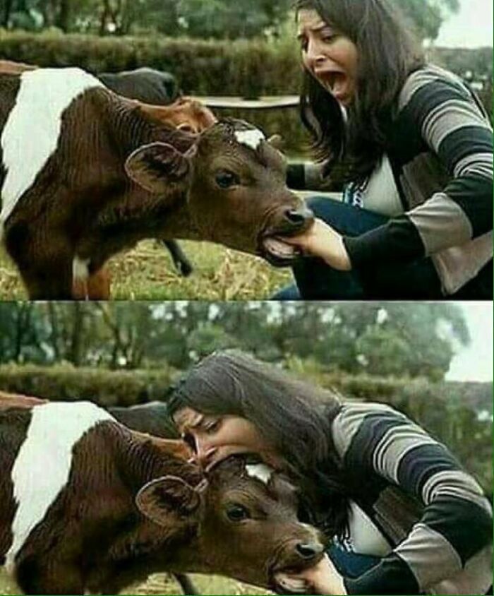 Non-Aesthetic-Things-Pics