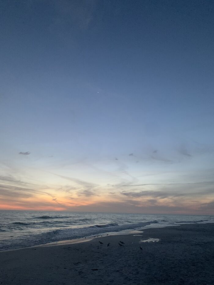 Longboat Key Beach Cloudy Sunset With Sandpipers