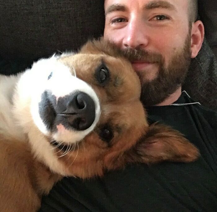 Chris Evans With Dodger