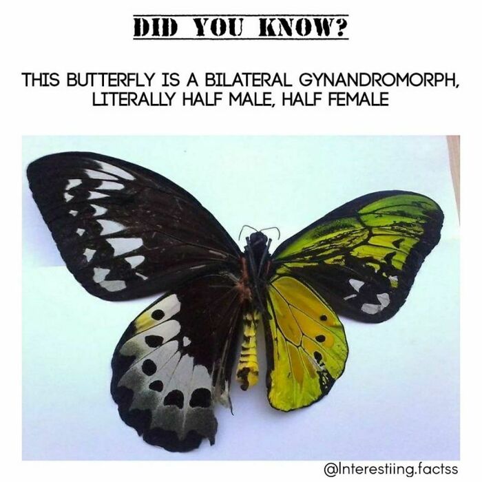 Interesting-Fascinating-Facts