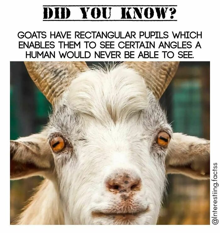 Interesting-Fascinating-Facts