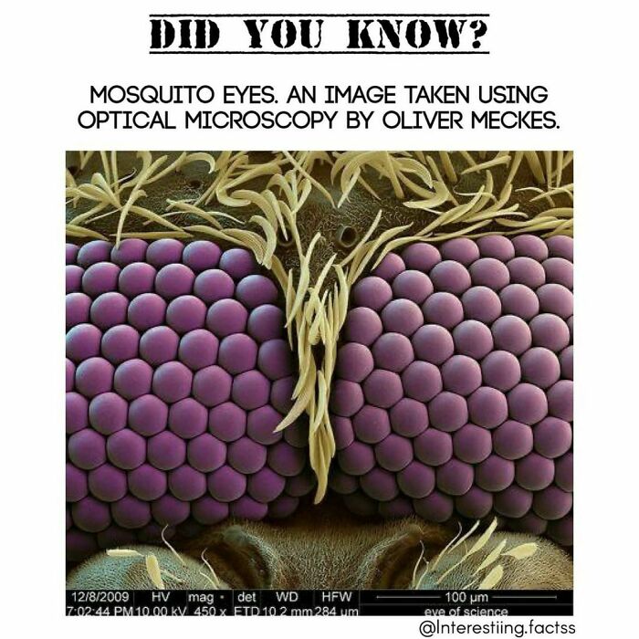 Interesting-Fascinating-Facts