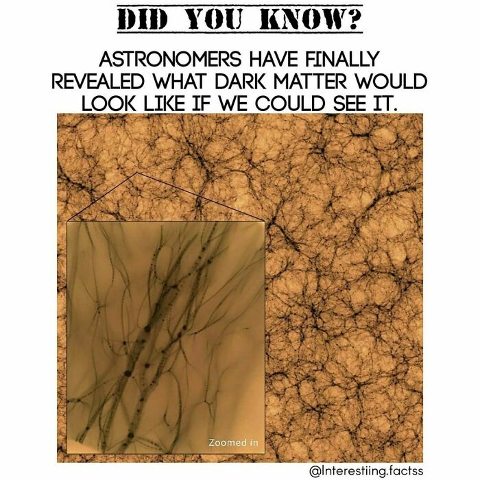 Interesting-Fascinating-Facts