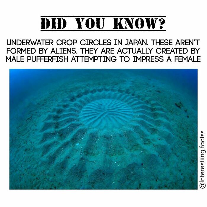 Interesting-Fascinating-Facts