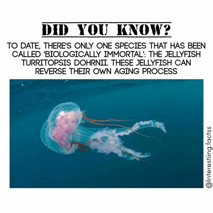 Interesting-Fascinating-Facts