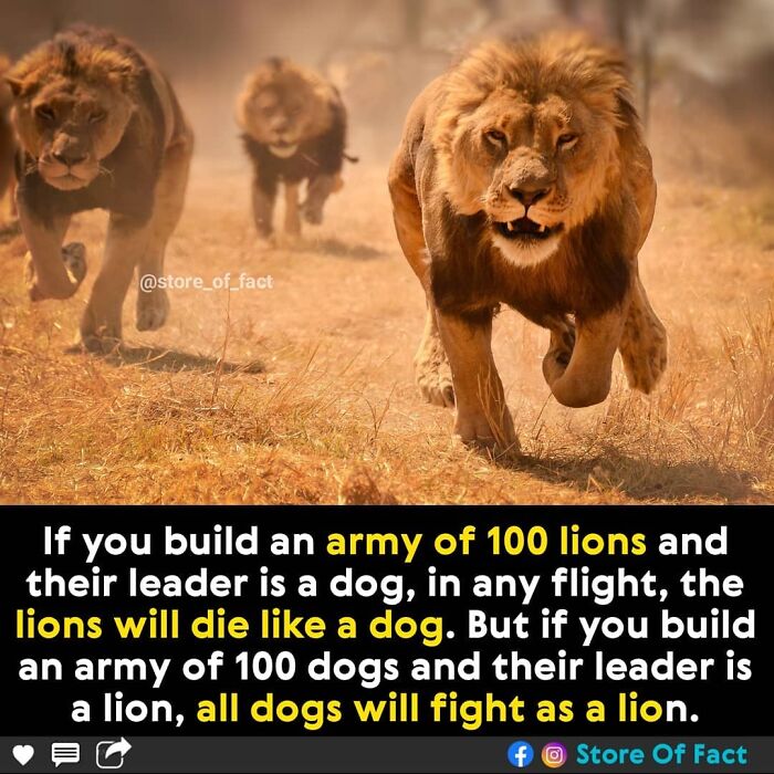 Store-Of-Crazy-Interesting-Facts