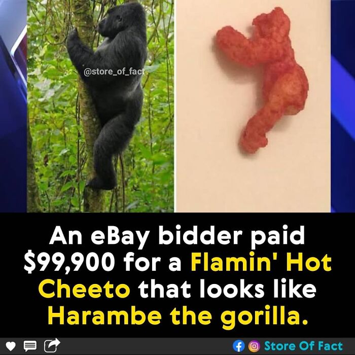 Store-Of-Crazy-Interesting-Facts