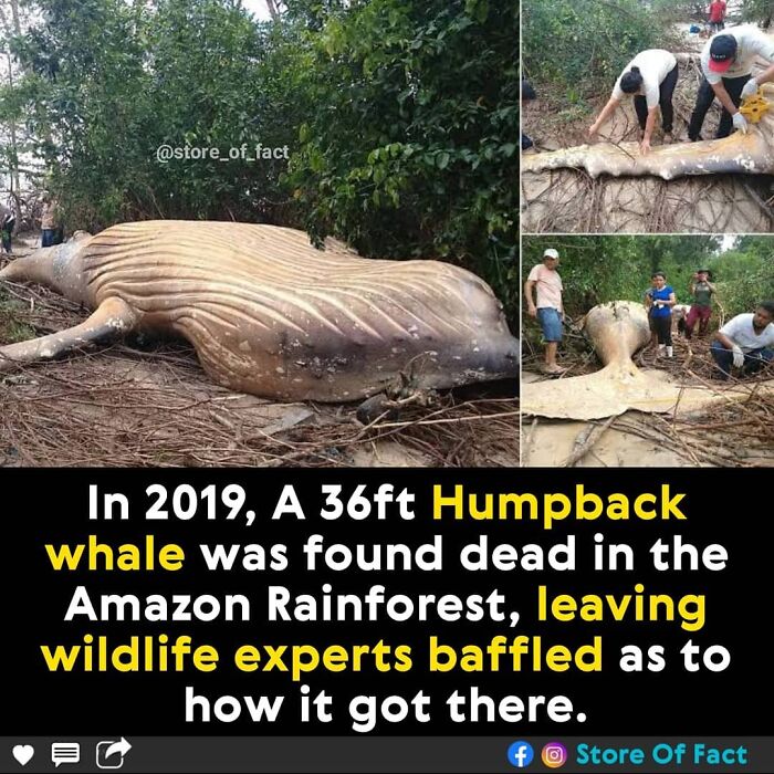 Store-Of-Crazy-Interesting-Facts