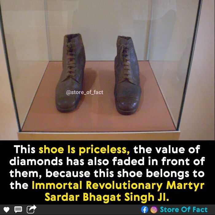 Store-Of-Crazy-Interesting-Facts