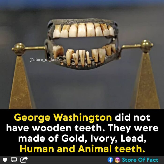 Store-Of-Crazy-Interesting-Facts