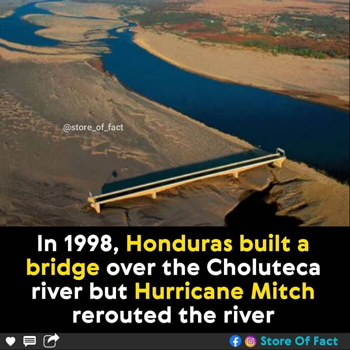 Store-Of-Crazy-Interesting-Facts