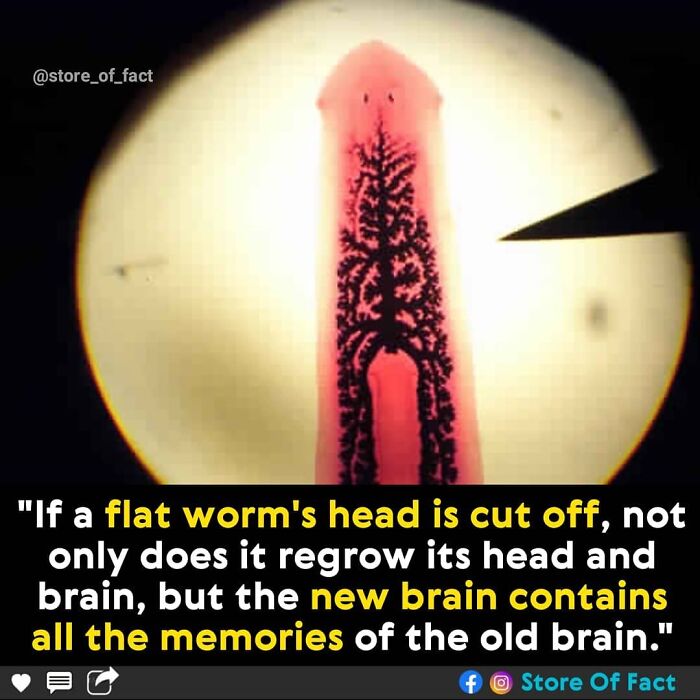 Store-Of-Crazy-Interesting-Facts