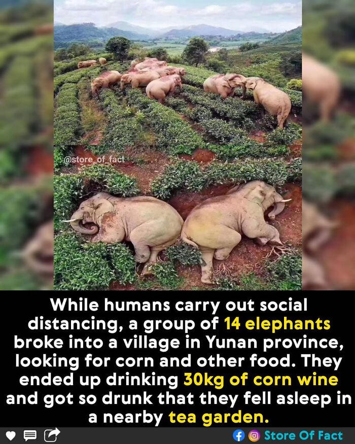 Store-Of-Crazy-Interesting-Facts