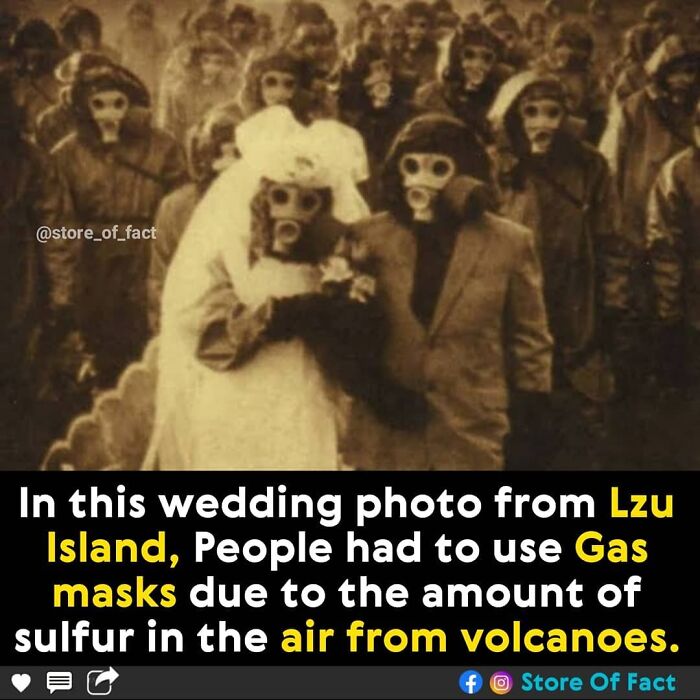 Store-Of-Crazy-Interesting-Facts