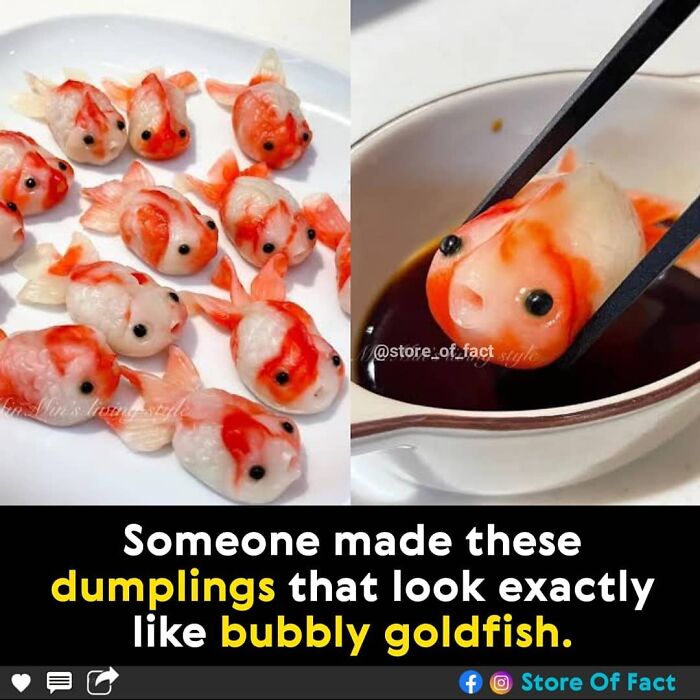 Store-Of-Crazy-Interesting-Facts