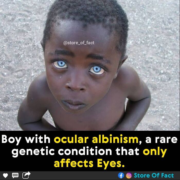 Store-Of-Crazy-Interesting-Facts